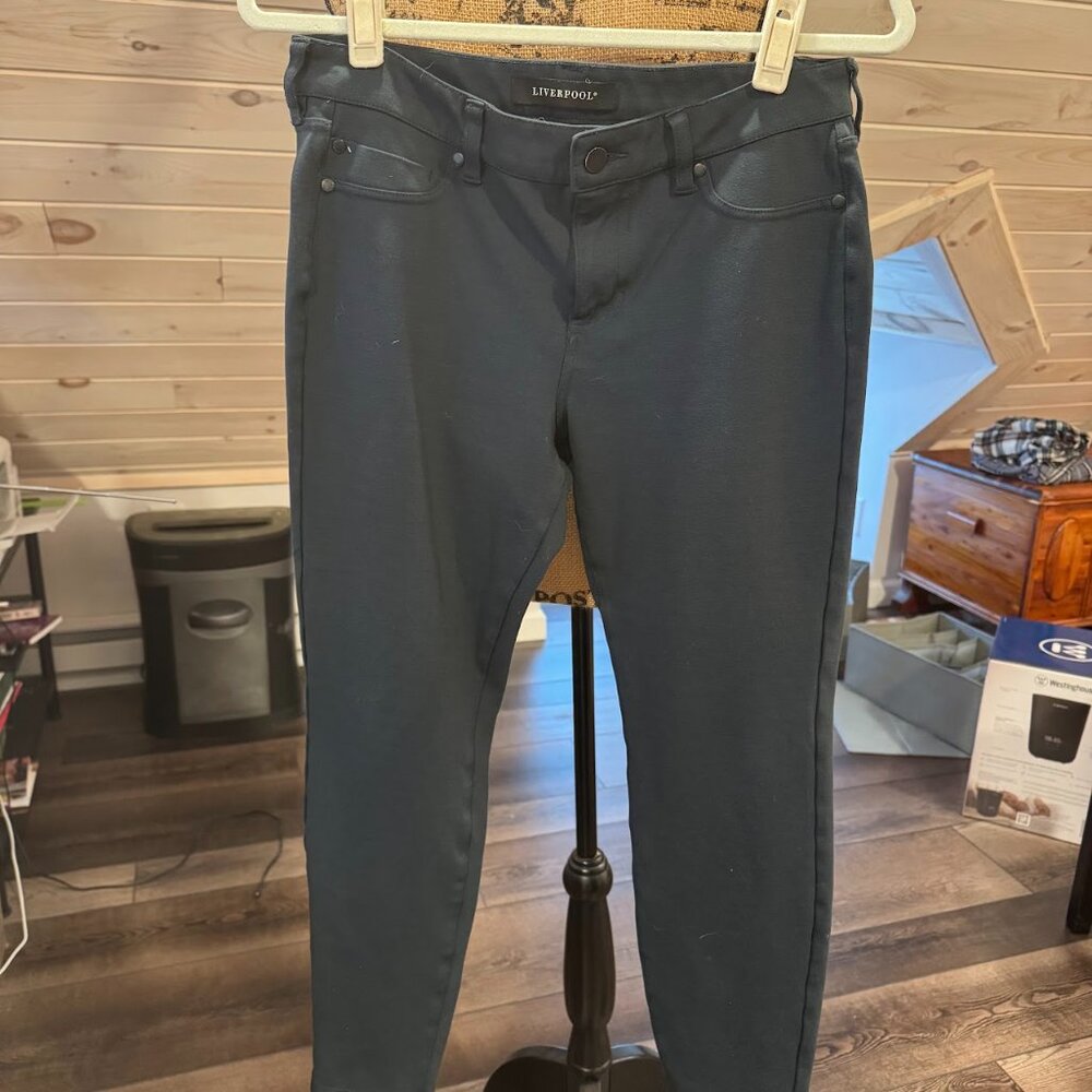 Liverpool Los Angeles Jacqueline skinny pant